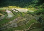 Rice terraces between Banga-an and Tanulong