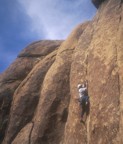 In the midst of the crux at Sheepbugger's Wall; the difficulty here is that the protection is at your feet while making the crux .11 moves�below that is a ledge!