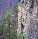 Joe partying on Party in Your Mind