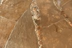 Pebble sections in the stone floor
