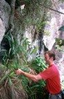 At the base of the final spire, Chris pulls the vegetation away from the mouth of the chimney